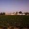 Estremoz Hotel