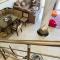 Lovely Villa 5- bedroom with Overflow Pool with Nice Garden at Green Oasis Resort - Alessandria d'Egitto