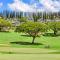 Kapalua Golf Villa 21V 1