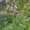 Walk to Cafes! Storybook-Style Fairbanks Studio