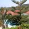 Eve Pissouri Veriko Villa