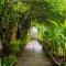 The Banyan Soul