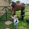 The Paddocks - Spacious annexe with rural outlook. - Wareham