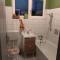 Apartman Dunav