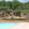 Thandolwami Bushlodge & Spa