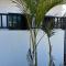 Meu Loft Barra Nova 4
