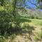 Tamarron Gambel Oak 768 - The Honeycomb - Durango CO