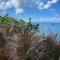 Sunset Reef St. Kitts