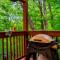 CABIN in a GATED RESORT with SEASONAL RESORT POOL - Pigeon Forge