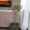 Holiday Home Sofia - quiet village&quick highway close to Biograd na Moru and Zadar