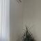 Sobornosti Apartment Poltava City