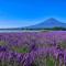 グランファーム富士河口湖 Granfarm Fujikawaguchiko