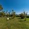 Vacances en Corse