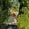 Romantic Luxus Glamping 3