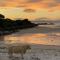 The Sheiling holiday home with gorgeous views over the isles - 阿里塞格