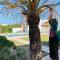 Dar-dina-Total escapism in Djerba
