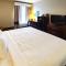 Comfort Inn & Suites Mount Pocono