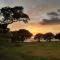 Ariki beachfront apartment - Snells Beach