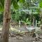 Casa Martin Cahuita Charming Spanish Home