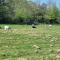 Glamping in style, Prospector Tent - Crawley