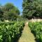 Cadepaoli Vineyard & Roses - Bergamo Countryside