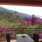 Studio Residence Cabanaccia Studio 35m² by Interhome