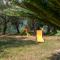 Apartment Mimosa by Interhome
