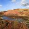 Tregynrig Bach