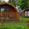 Pinemarten Lodge