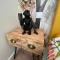 STUDIO JUNGLE - HYPEr CENTRE LORIENT