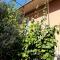 APARTMAN NEŠPULA 3