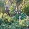 Caesar's Self-catering Open Plan Suite - Somerset West