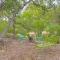 Canyon Lake Home with Spacious Deck and Backyard!