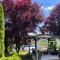 Residence Green Pool & SPA