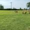 Green View Lodges