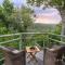 Tsala Treetop Lodge - Plettenberg Bay