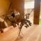 GreenValleyGlamping GreenValleyGlamping