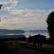 Elf am See - Haus 7
