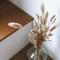 Imagine Tiny House 325 op Camping GT te Balen