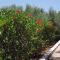 Villas Michalis - Chorafakia