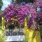 EcoHousing Gaia Terranova Hospedagem eco pet friendly