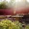 Camellia Cottage - Country Rustic Charm Close to Forest and Town
