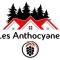 les anthocyanes CHAMBRE FORET