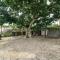 Oak Tree Barn