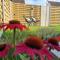 vakantiewoning 266