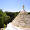 TRULLO - VERDE MEDITERRANEO Immerso nella meravigliosa VALLE D’ITRIA