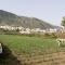 Finca Pico