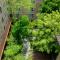 Hotel Thrive, A Tropical Courtyard