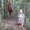 Jungle View Homestay & Guesthouse - Bukit Lawang