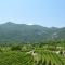 Markovic Winery and Estate apartments